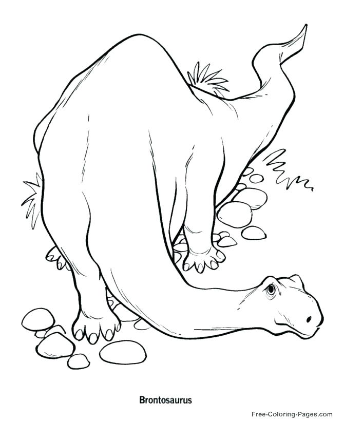 670x820 Dinosaur Fossil Coloring Pages Coloring Page Dinosaur Dinosaur