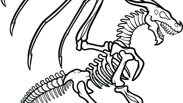 750x425 Dinosaur Fossil Coloring Pages Dinosaur Skeleton Coloring Pages