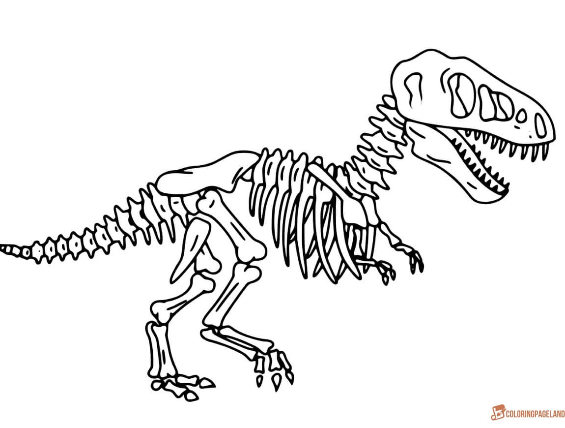 1150x870 Shocking Printable Dinosaur Bones Coloring For Skeleton Page Pict