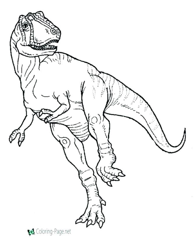 670x820 Dinosaur Bones Coloring Pages Bones Coloring Pages Collection