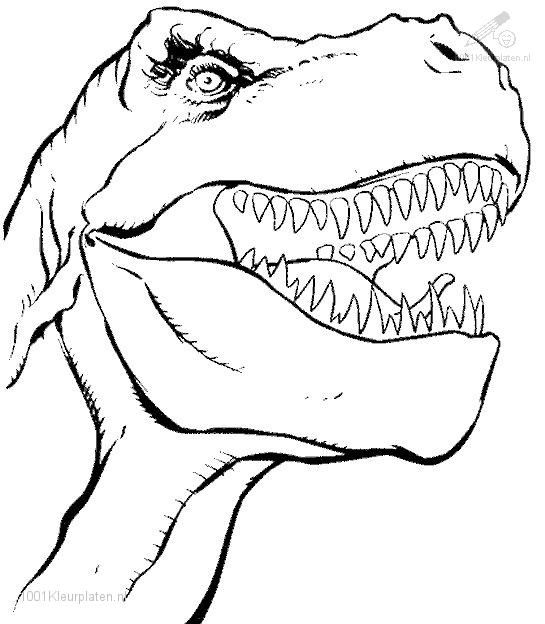 545x624 Dinosaur Coloring Pictures Unique Dinosaur Coloring Pages Ideas
