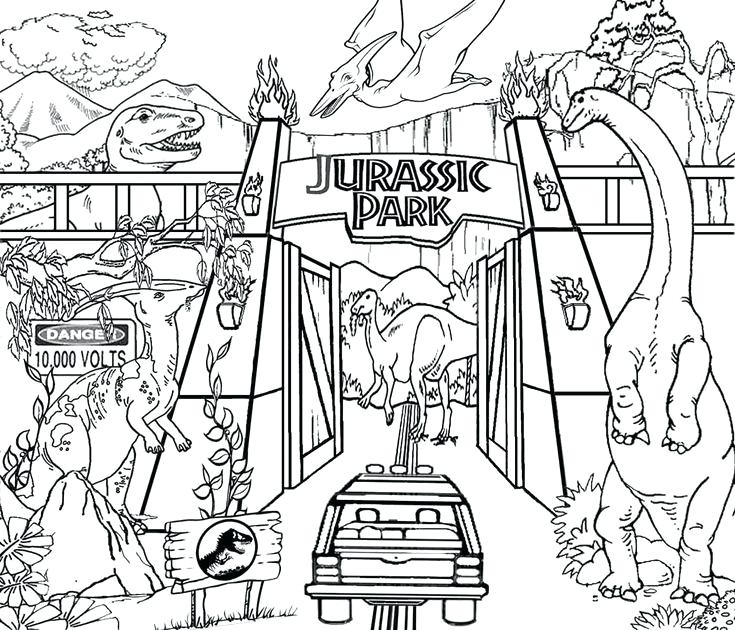 735x630 Dinosour Coloring Pages Coloring Pages Picture Preschool To Snazzy