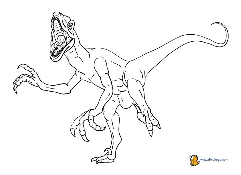 792x576 Free Dinosaur Coloring Pages Coloring Page Free Printable