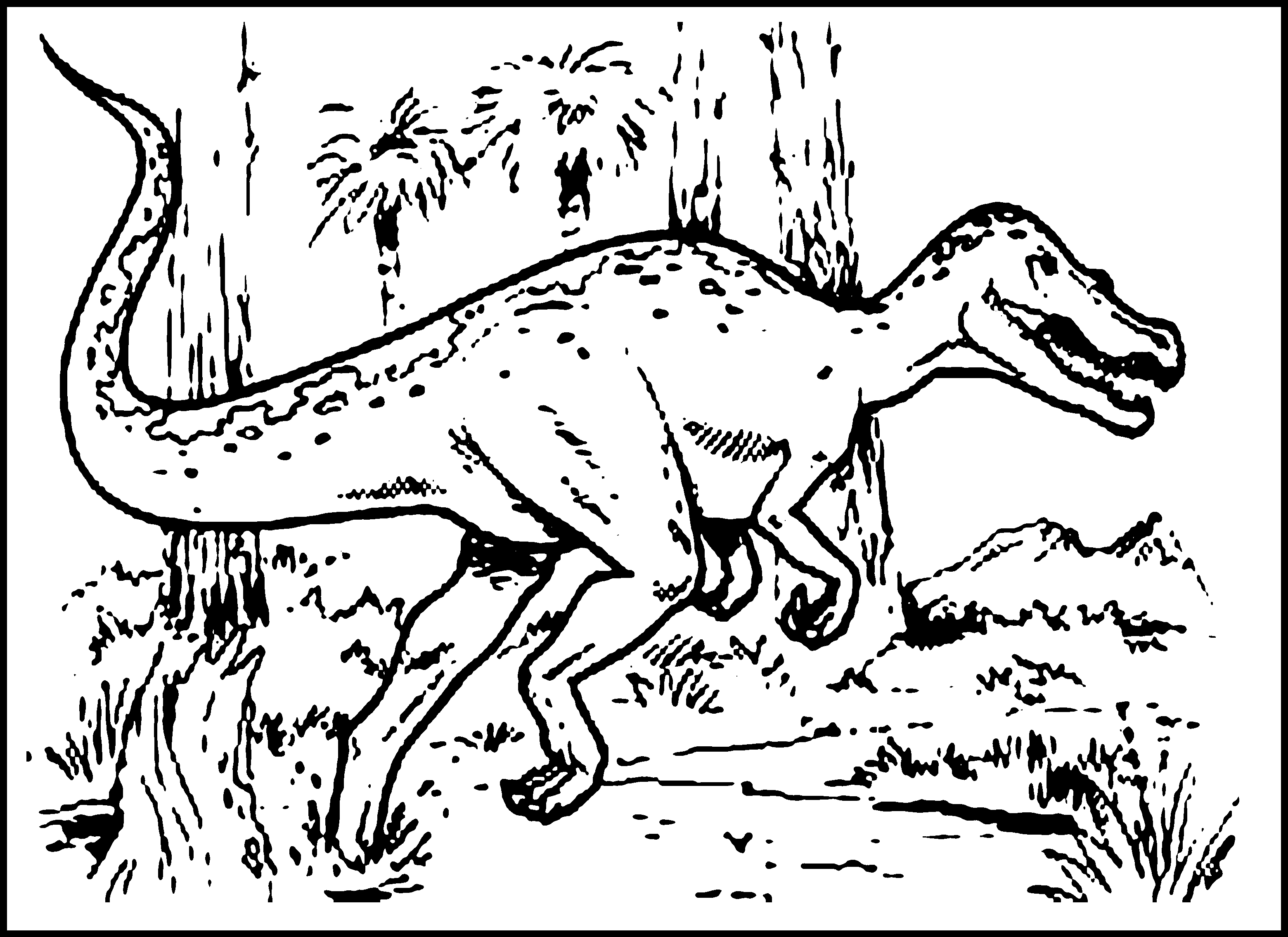 3120x2270 Dinosaur Coloring Pages For Kids And Preschoolers