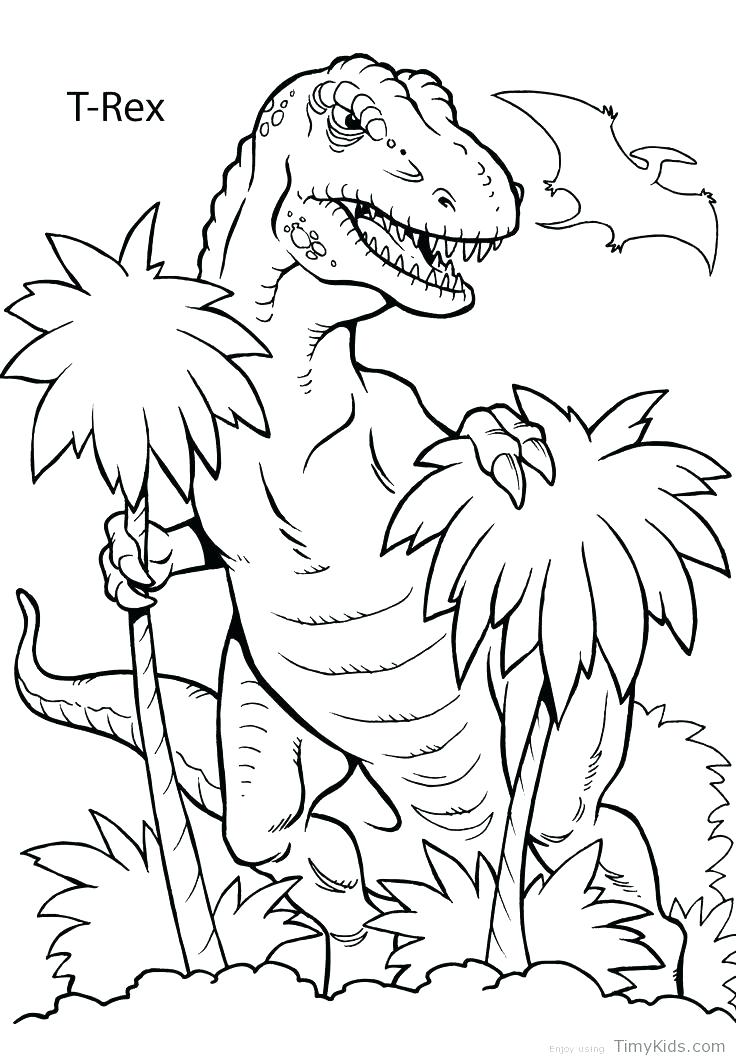 736x1061 Free Printable Realistic Dinosaur Coloring Pages Preschool Explore