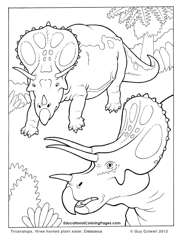 612x792 Free Coloring Pages Of Animals And Triceratops Coloring Pages