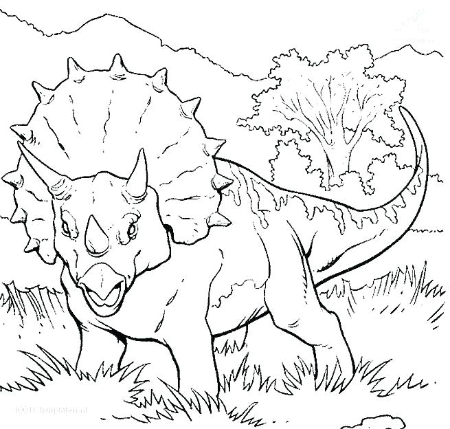 655x624 Dinosaur Coloring Page Dinosaur Coloring Pages Coloring Page Baby