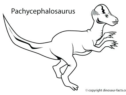 440x330 Newt Coloring Page Night Fury Pages The Friendly Ghost Flying