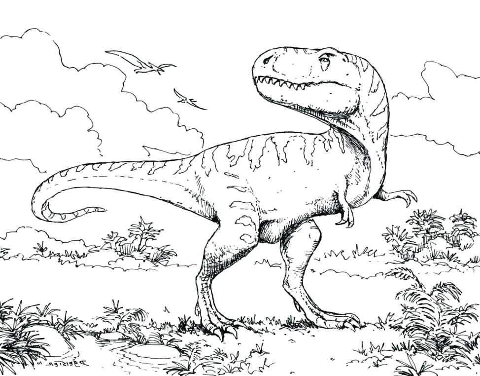 974x762 Triceratops Dinosaur Coloring Pages Cute Page Brontosaurus