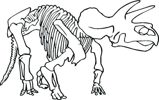 550x347 Skeleton Coloring Page Skeleton Coloring Page Bone As Dinosaur