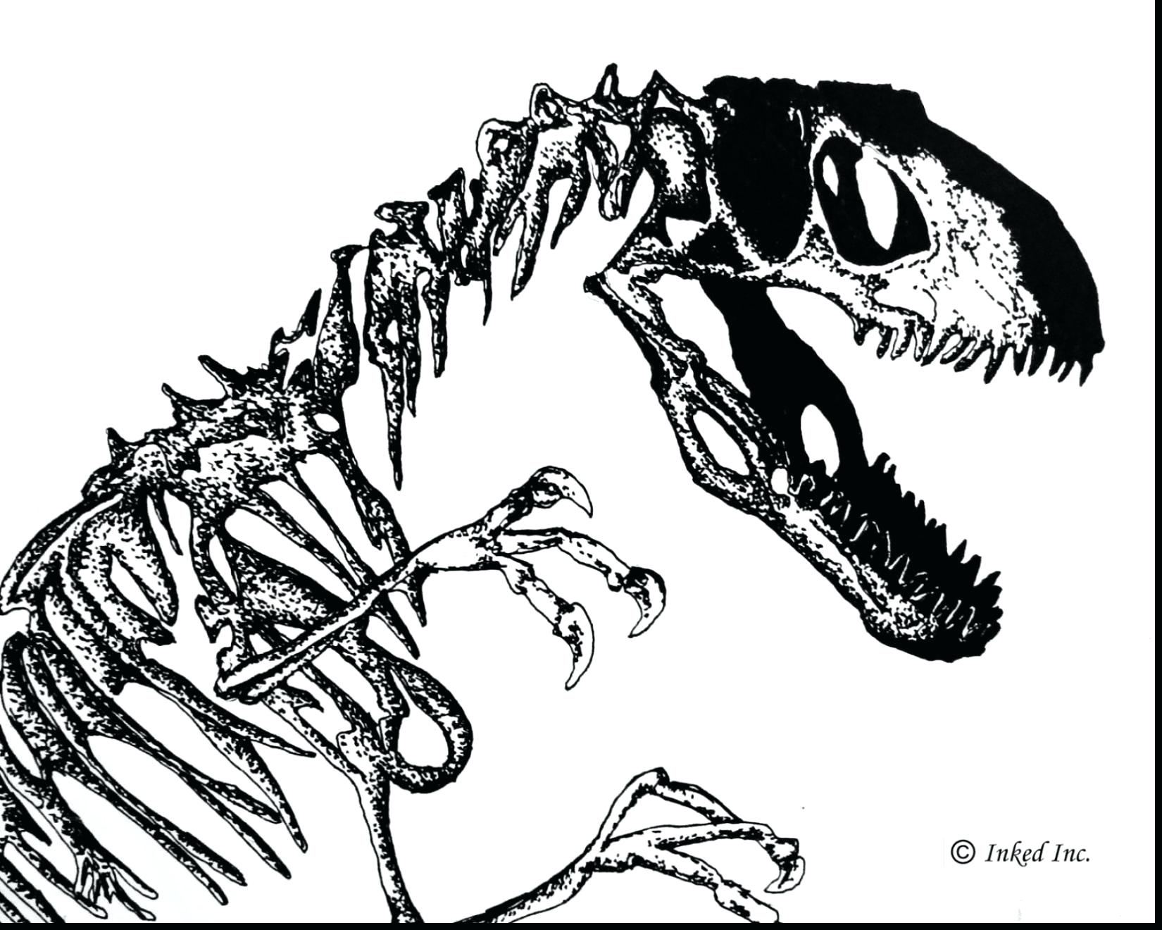 1650x1320 Skeleton Coloring Pages Halloween Dinosaur Fossil Sheet Download