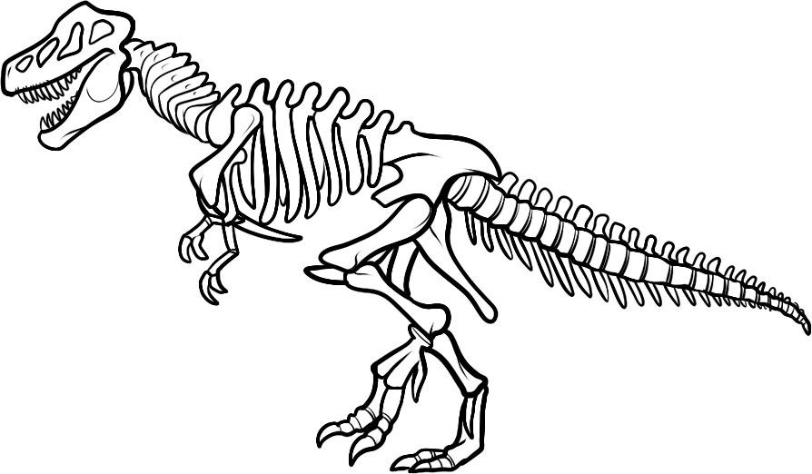894x522 Dinosaur Fossil Coloring Pages