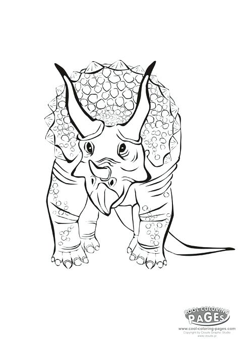 472x678 Triceratops Coloring Animals Coloring Dinosaurs My Triceratops