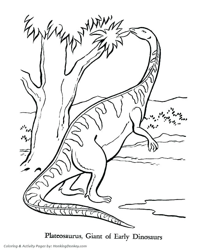 670x820 Dinosaur Pictures To Colour And Print Printable Coloring Dinosaurs
