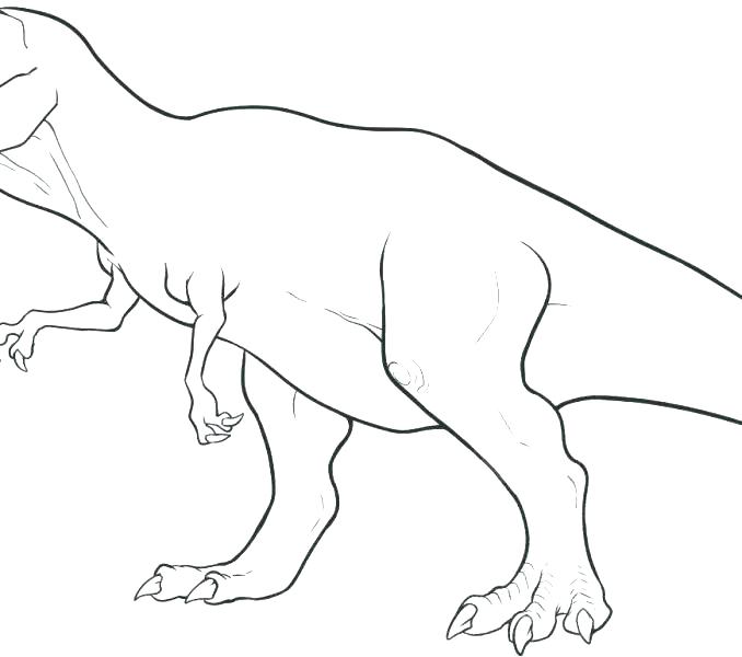 678x600 Dinosaur Skeleton Coloring Pages Skeleton Coloring Sheets Free