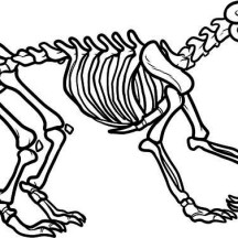216x216 Dinosaur Skeleton Coloring Page