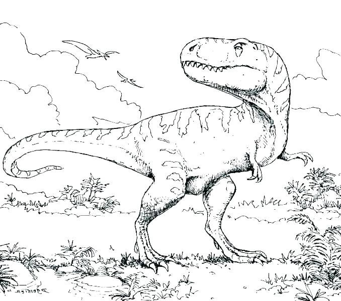 678x600 Dinosaur Skeleton Coloring Pages Coloring Pages Dinosaur Skeleton