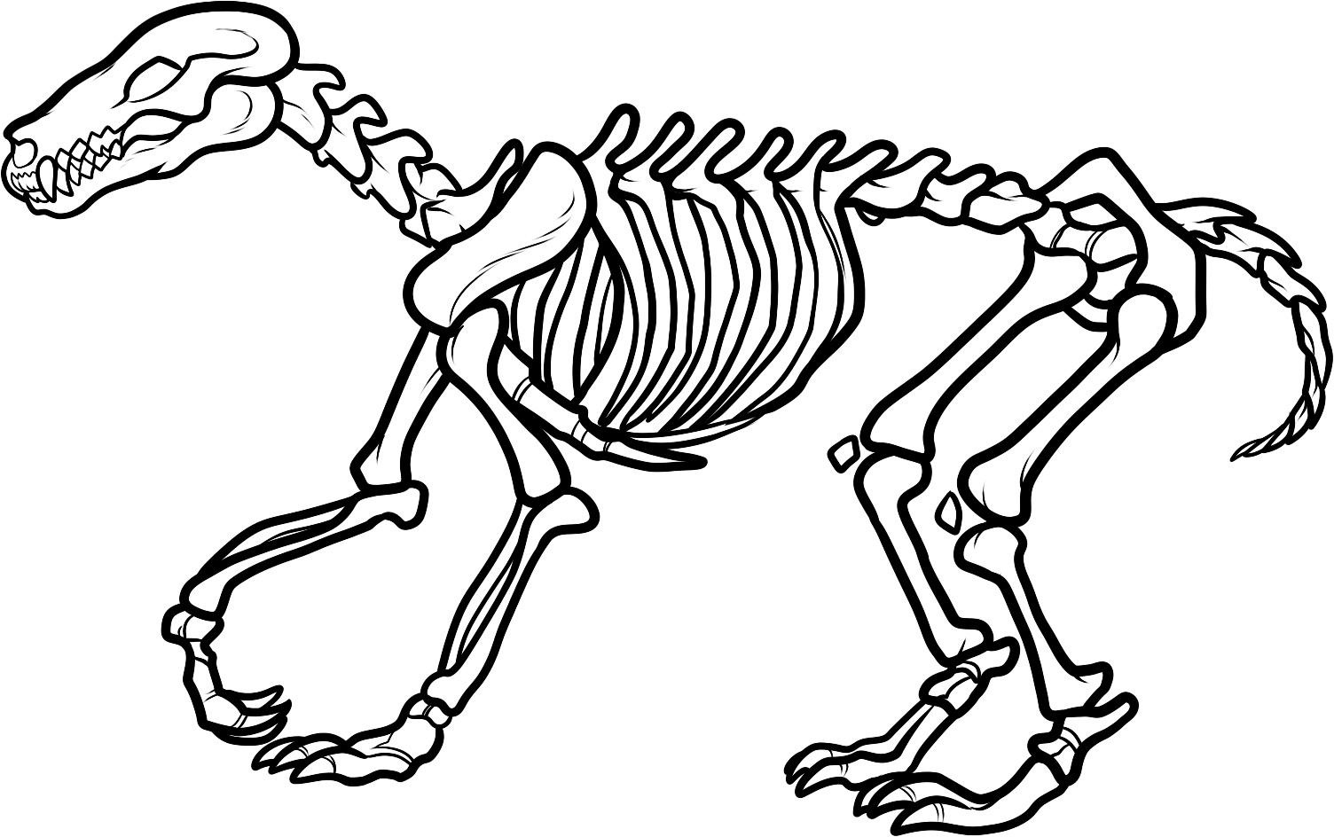 1504x944 Dinosaur Bones Coloring Pages