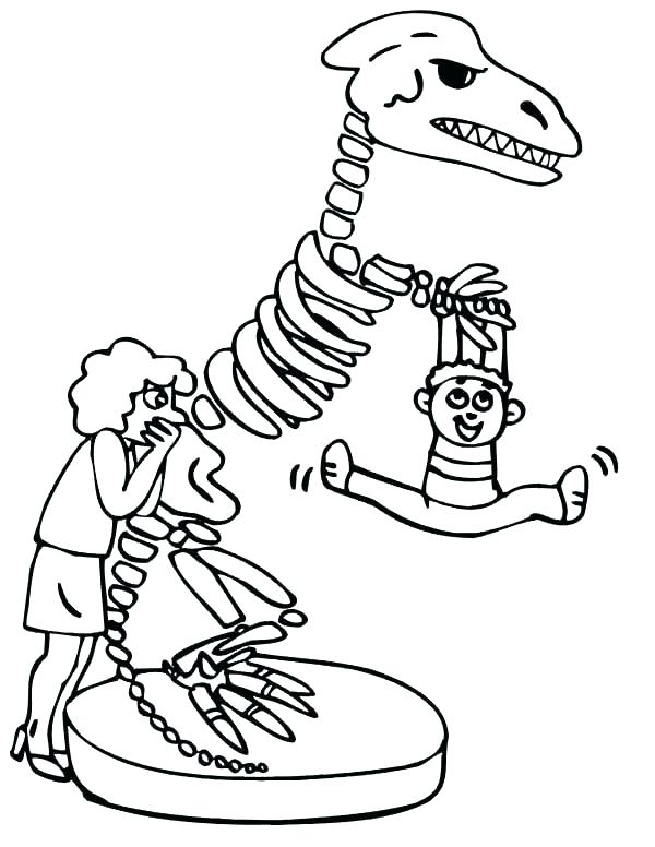 600x776 Human Skeleton Coloring Page Human Skeleton Coloring Page Dinosaur