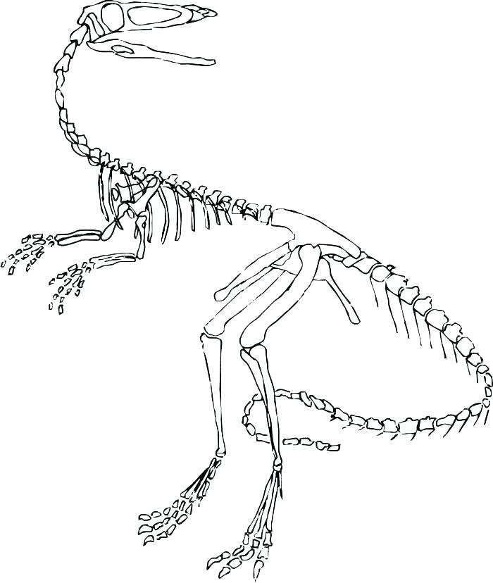 700x828 Skeleton Coloring Page Coloring Pages Skeleton Skeleton And His