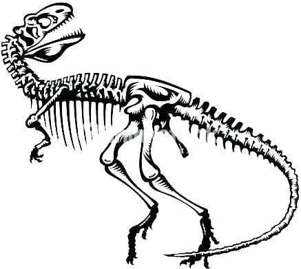 437x391 Dinosaur Fossil Coloring Pages Deepart