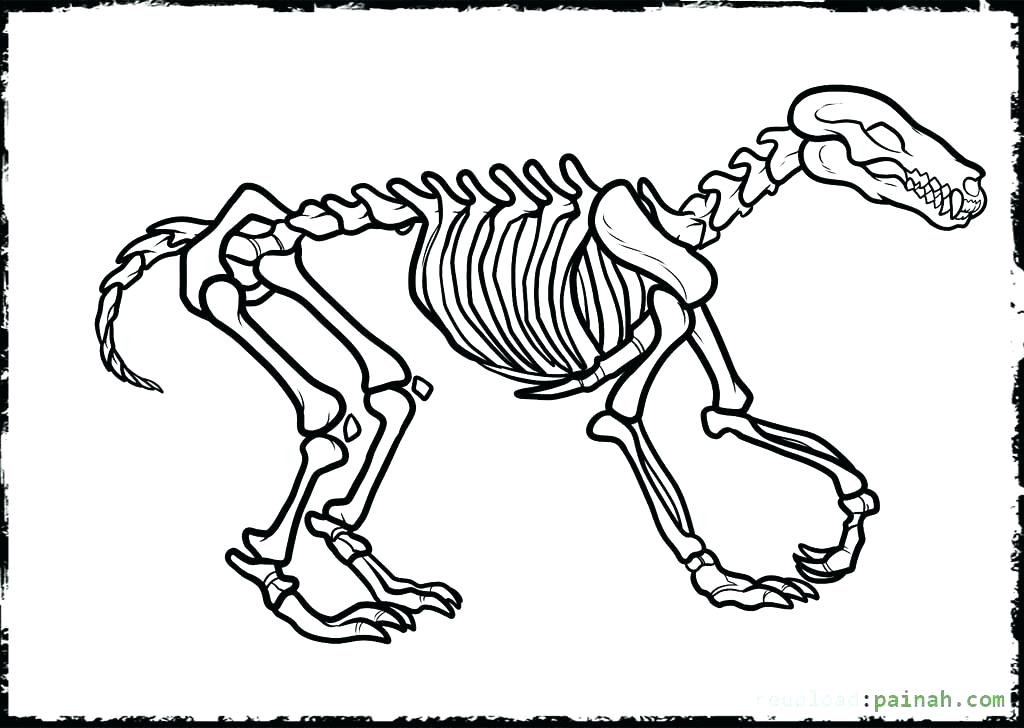 1024x728 Dinosaur Skeleton Coloring Pages