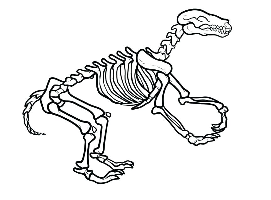 863x637 Dinosaur Bones Coloring Pages Dog Bone Page Free Skeleton Dinosaur