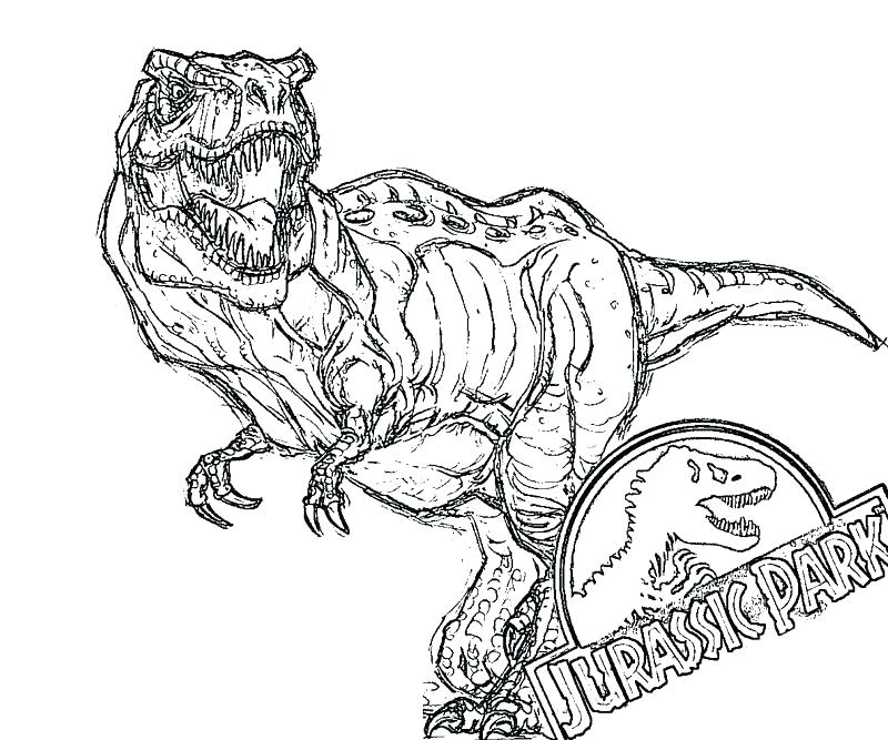 800x667 T Rex Color Page T Coloring Park T Coloring Pages To Print