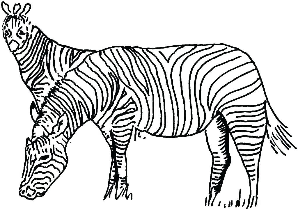 1024x722 Zebra Coloring Sheet Disco Ball Coloring Page Zebra Coloring Page