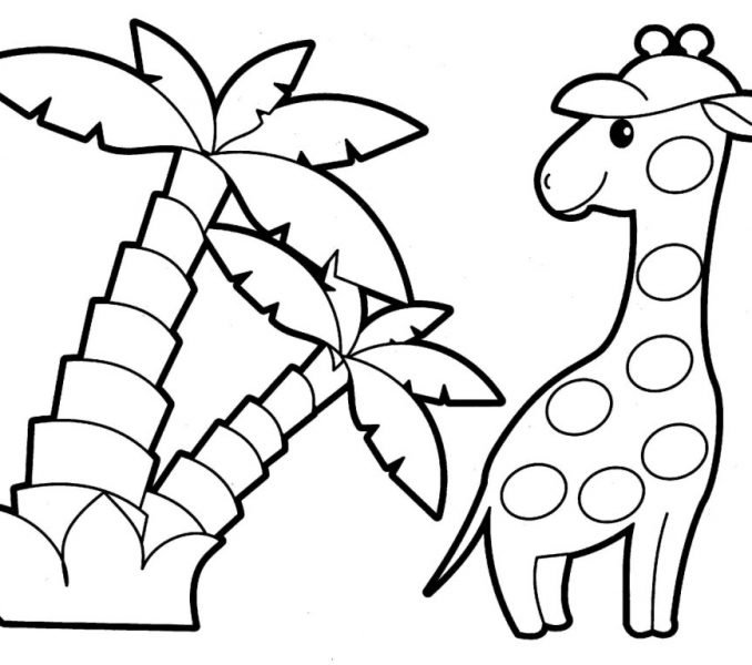 678x600 Animal Coloring For Kids Pictures Of Animals For Kids To Color