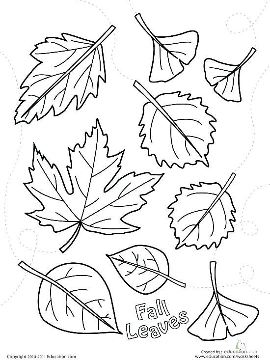 550x733 Printable Coloring Pages Free Disney Fall Ng Sheets Ideas