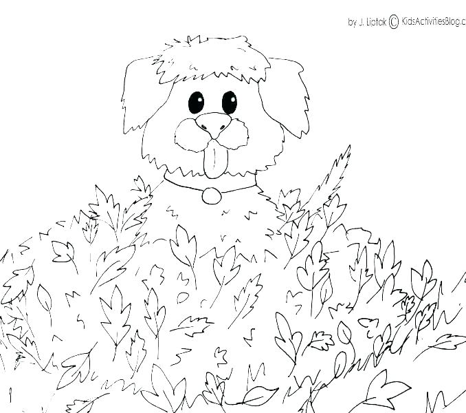 678x600 H Coloring Pages