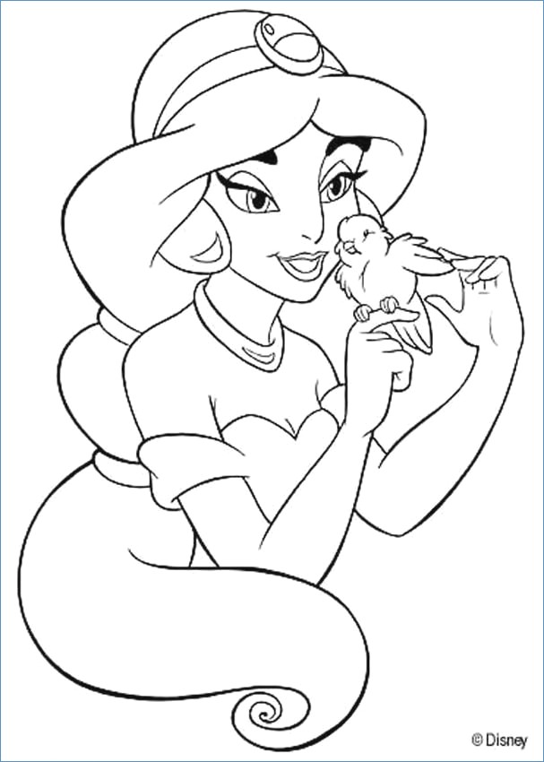 607x850 Princess Jasmine And Aladdin Disney Coloring Pages