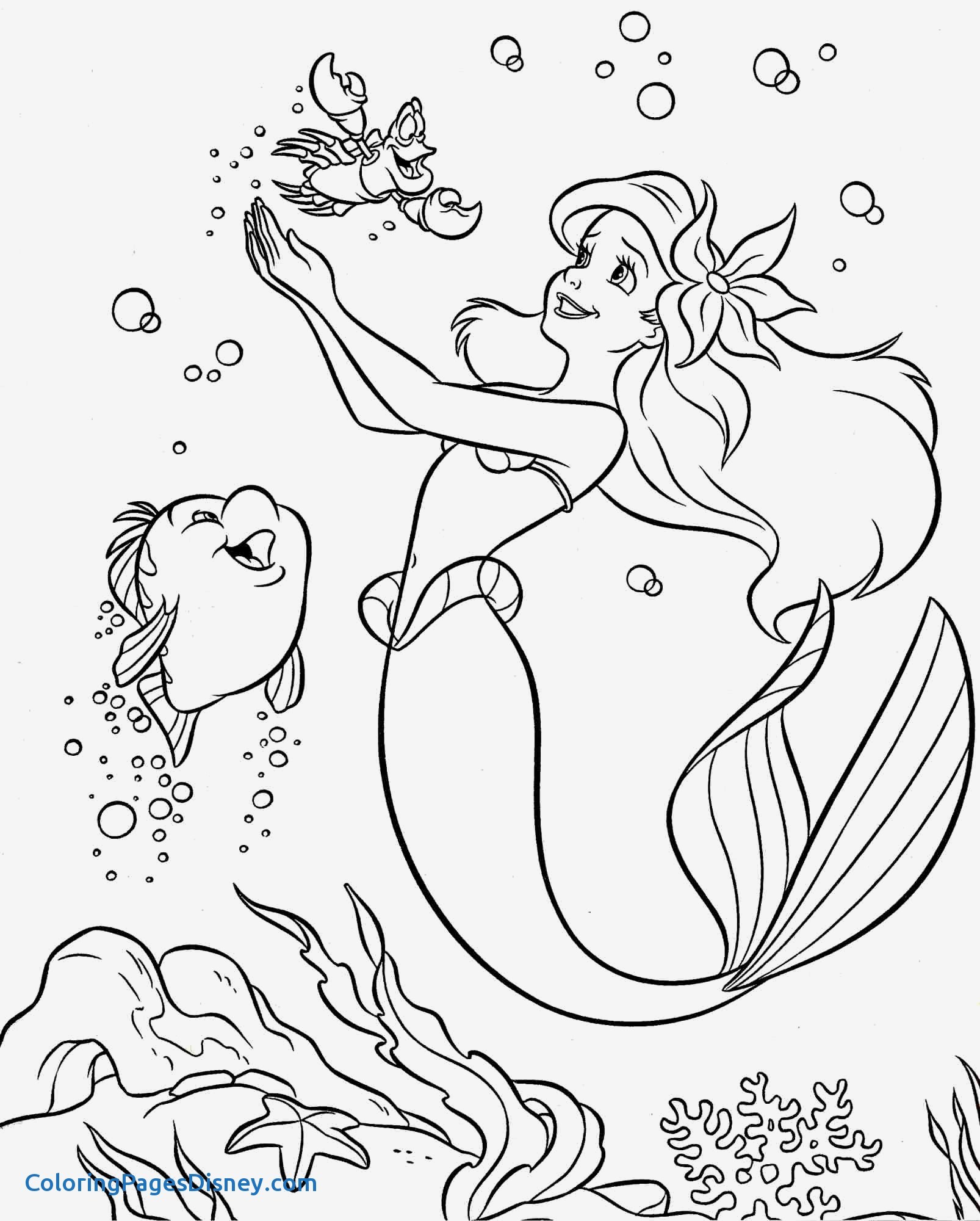 1606x2000 Little Princess Coloring Pages Elegant Colouring Pages Coloring