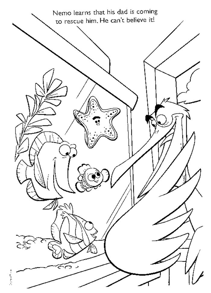 700x970 Mejores De Disney Finding Nemo Coloring Pages Disney