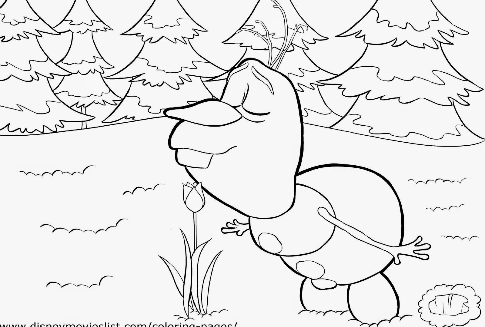 1600x1080 Free Frozen Coloring Pages And Activity Sheet Printable Pictures