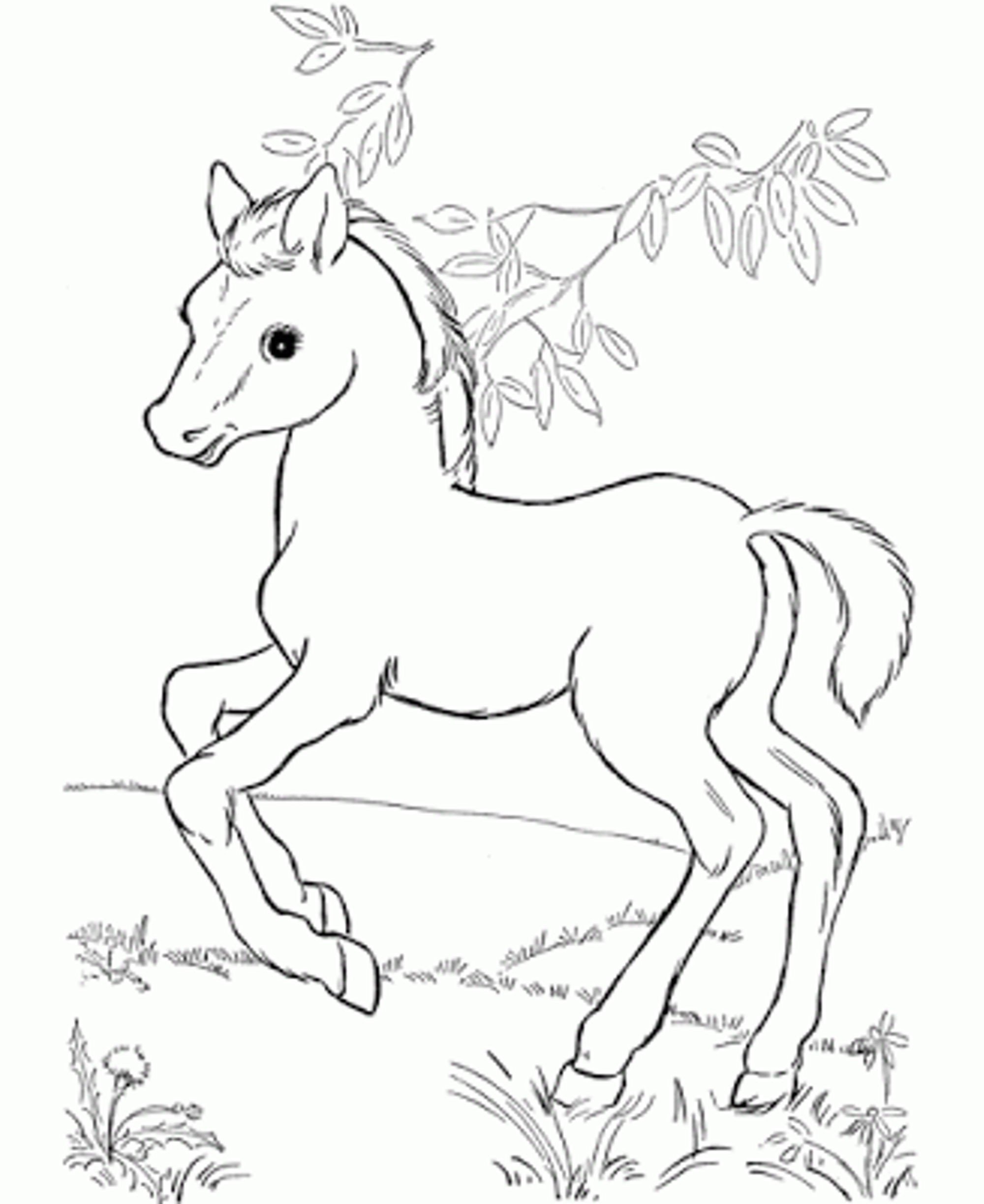 2000x2446 Elegant Coloring Pages Of Disney Horses