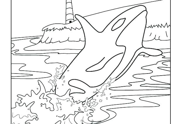 618x425 Coloring Pages Octonauts Whale Shark Coloring Pages Coloring Pages