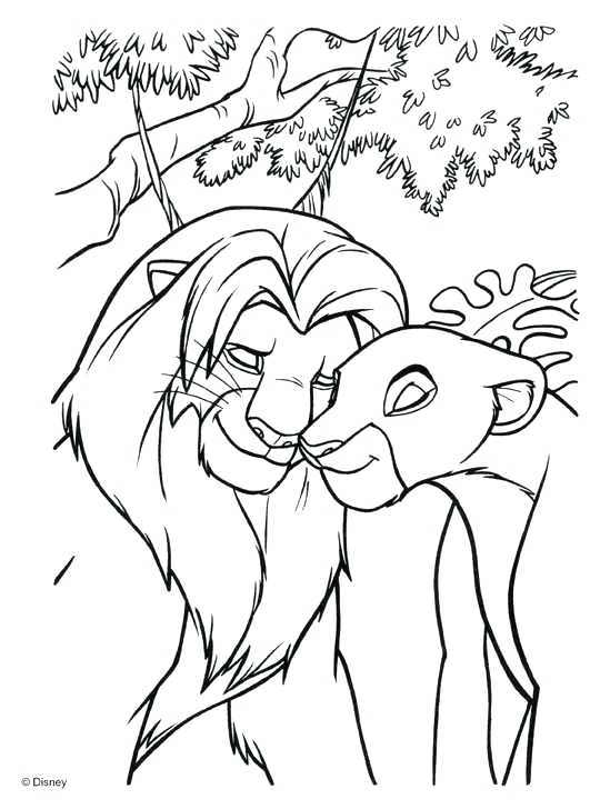 540x728 Lion King Coloring Book Plus Lion King Coloring Pages Odd Disney