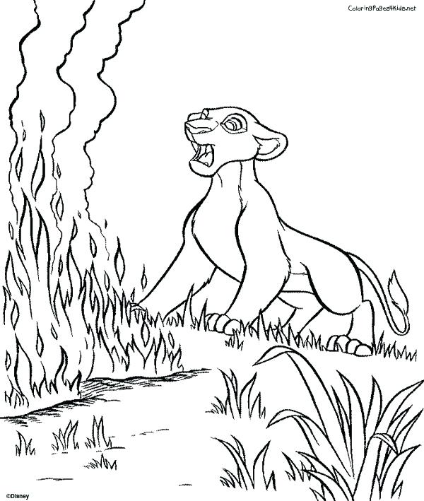 600x709 Lion King Color Pages