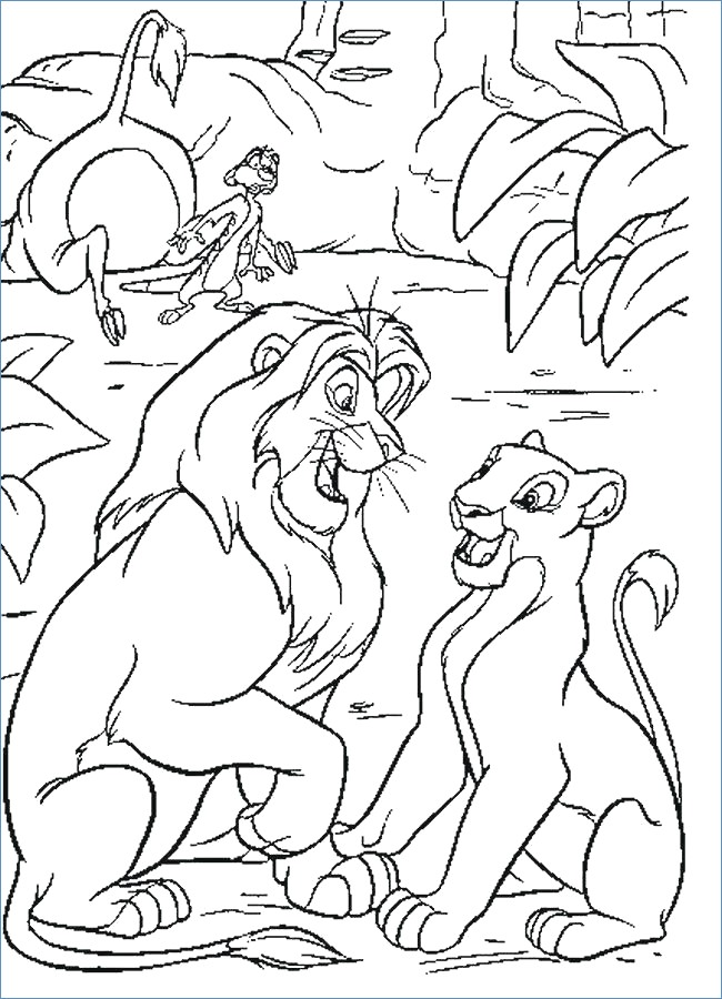 650x900 Rafiki And Timon Timon And Rafiki Coloring Page Disney Coloring