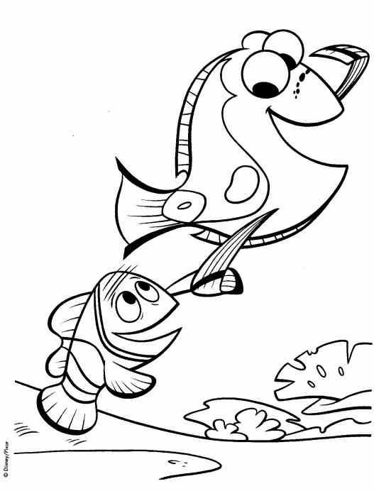 527x692 Finding Nemo Coloring Pages Finding Nemo Coloring Pages