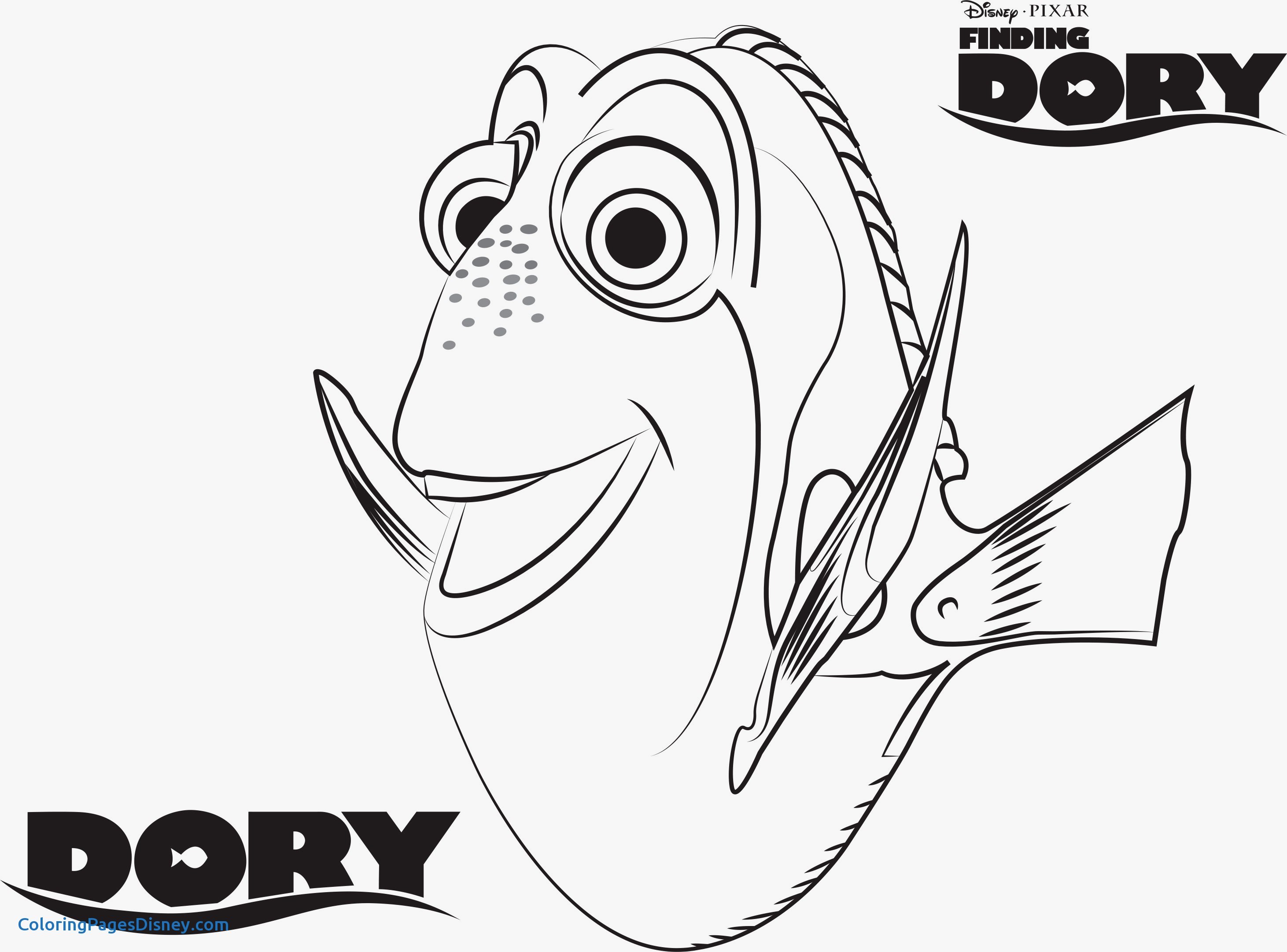 2923x2163 Finding Nemo Coloring Pages Beautiful Best Best Colouring