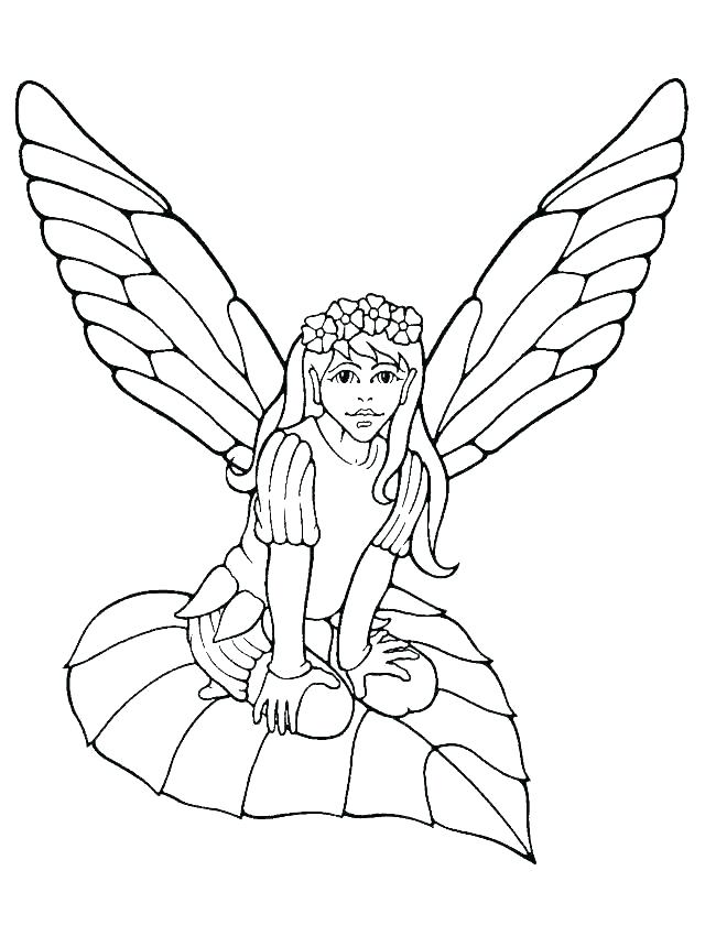 650x850 Pirate Fairy Printable Coloring Pages