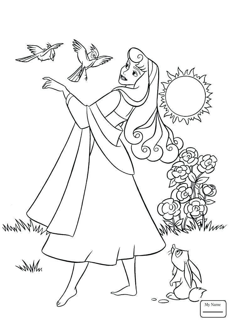 733x1024 Sleeping Beauty Coloring Pages Pdf Page