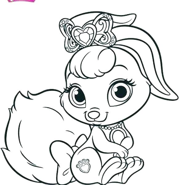 595x600 Princess Palace Pets Coloring Pages Devon Creamteas