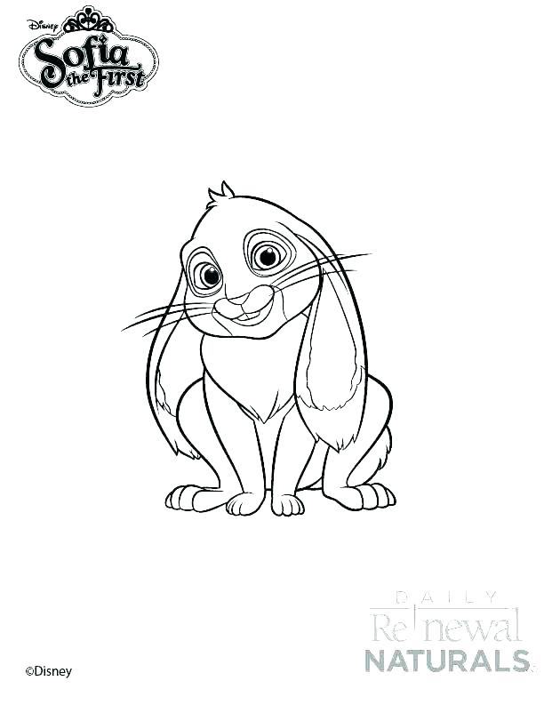 612x793 Sofia The First Coloring Plus The First Coloring Pages