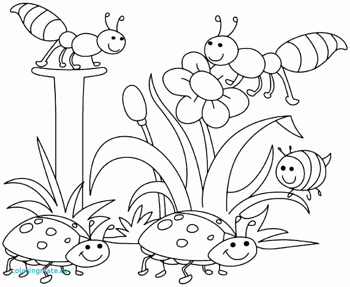 1216x997 Disney Spring Coloring Pages Images Spring Color Pages Beautiful
