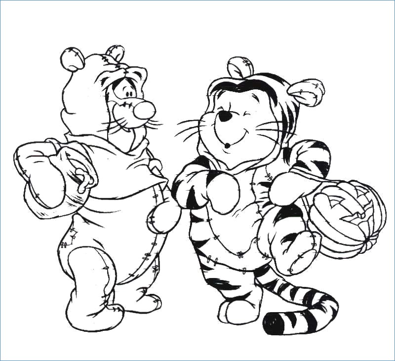 800x731 Winnie The Pooh Disney Spring Coloring Pages