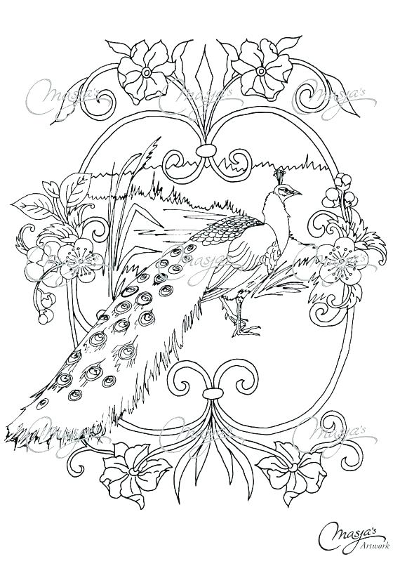 570x806 Disney Villains Coloring Pages Minimalist Peacock Coloring Pages